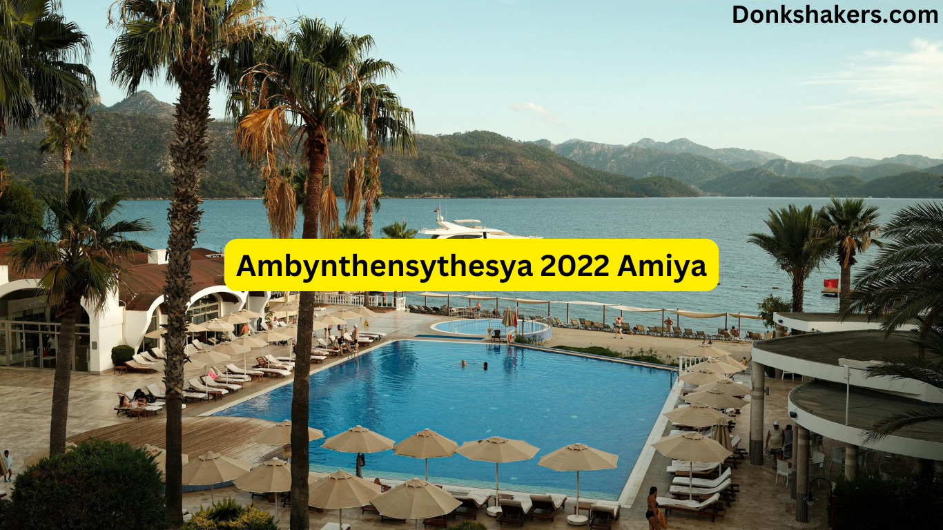 Discover Ambynthensythesya 2022 Amiya