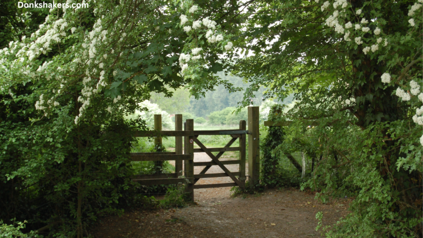 Wooden Fences